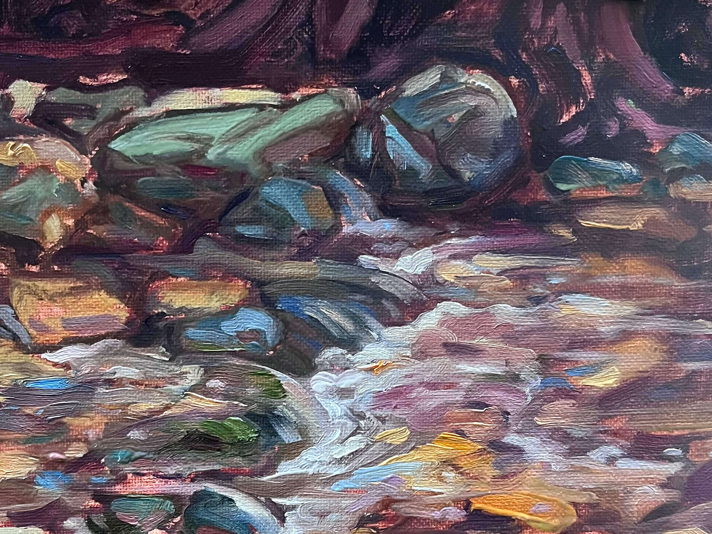 Dunedin nature reserve #1