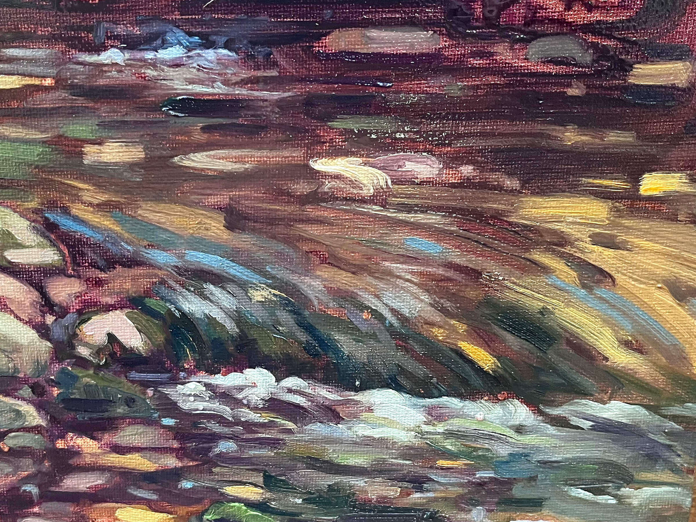 Dunedin nature reserve #2