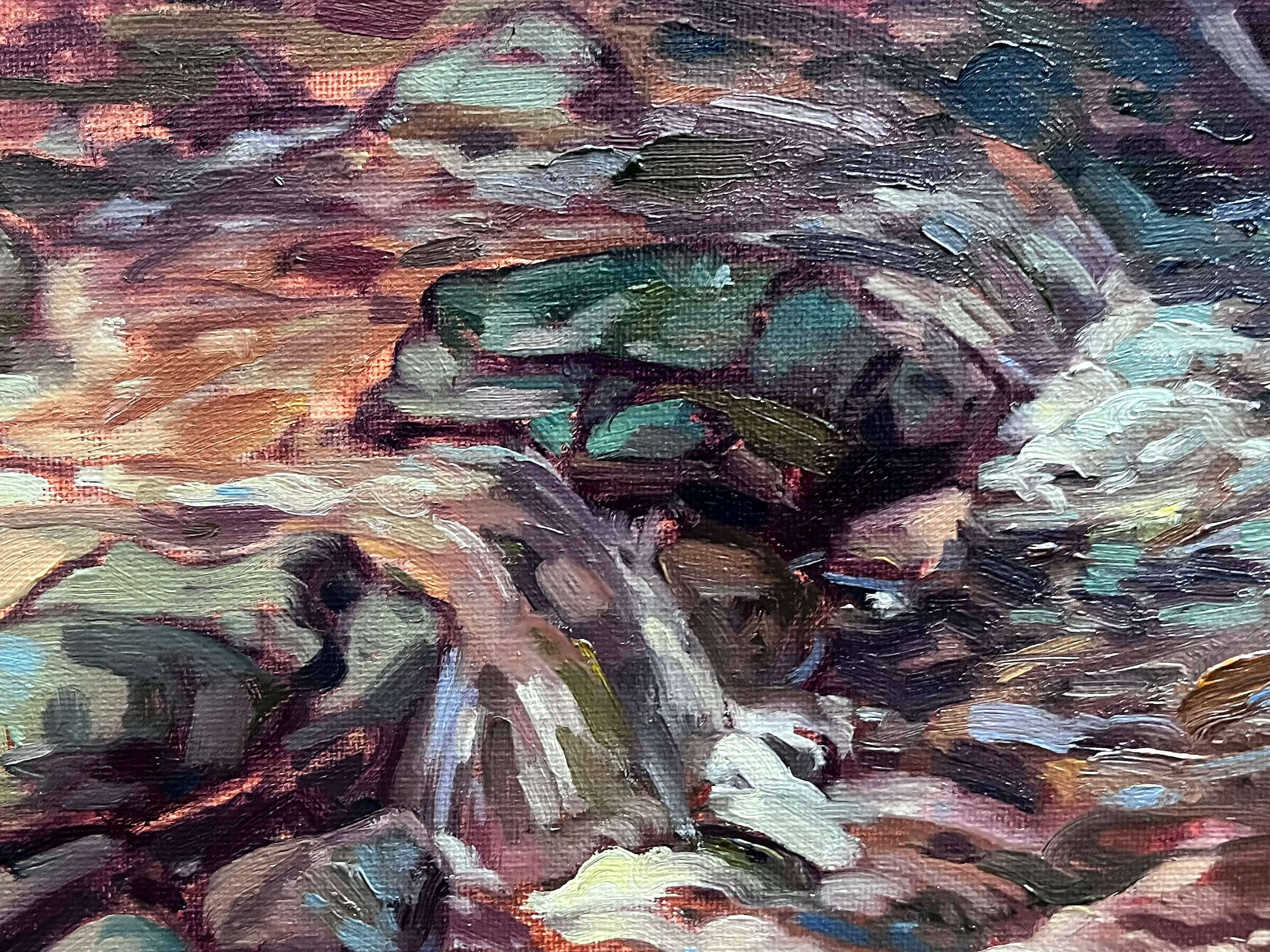 Dunedin nature reserve #3