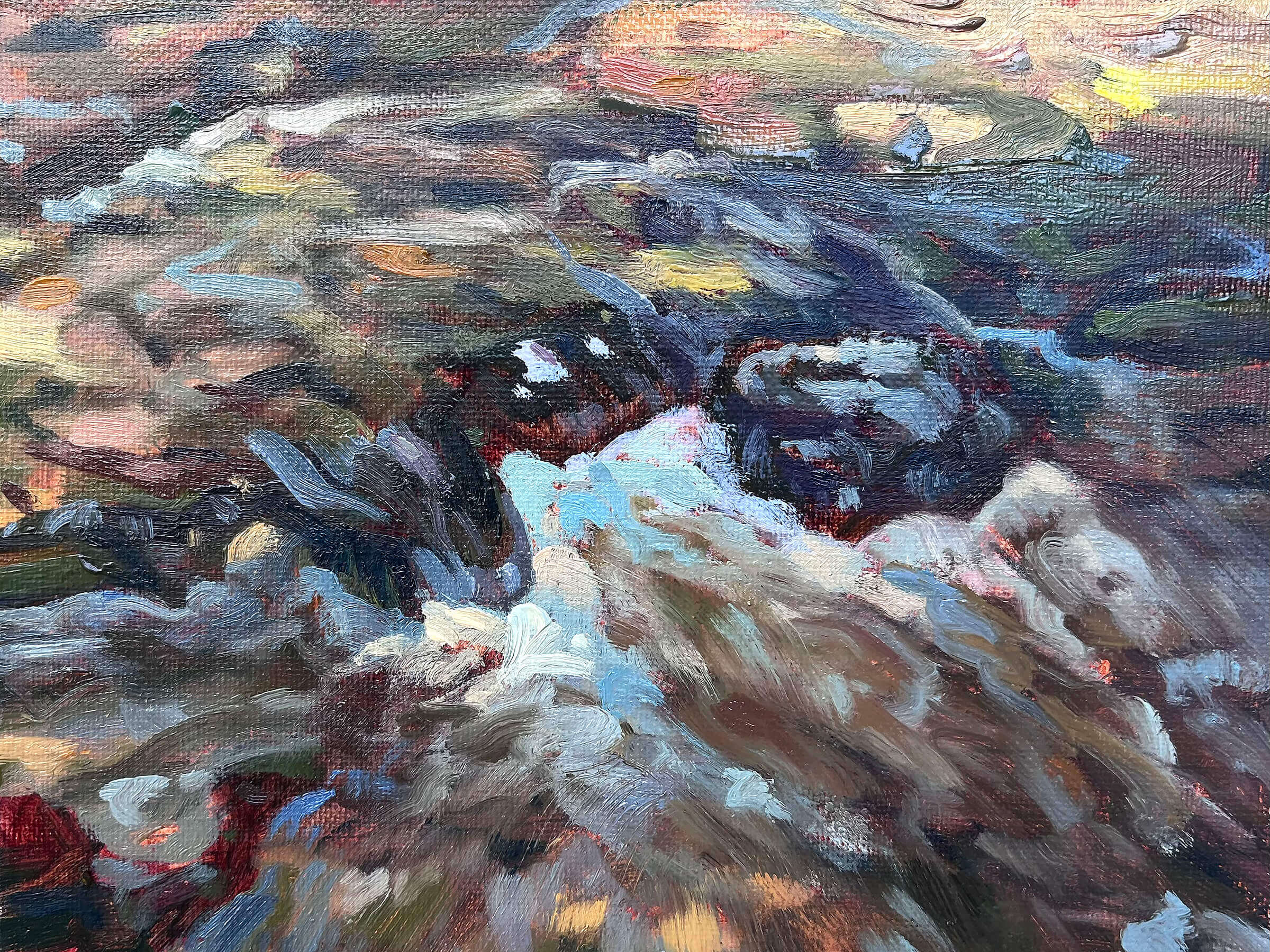 Dunedin nature reserve #4