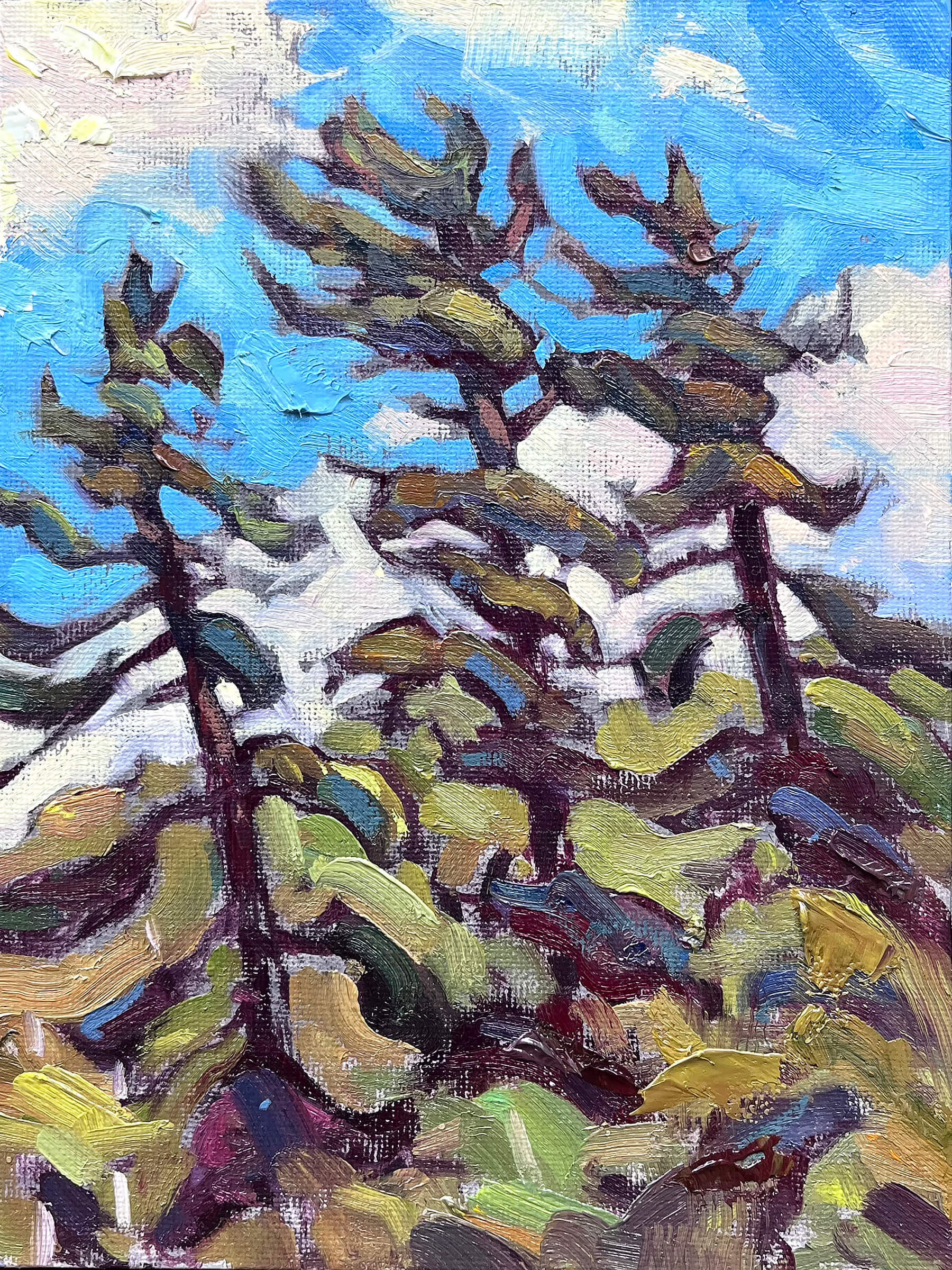 Temagami sketch #4