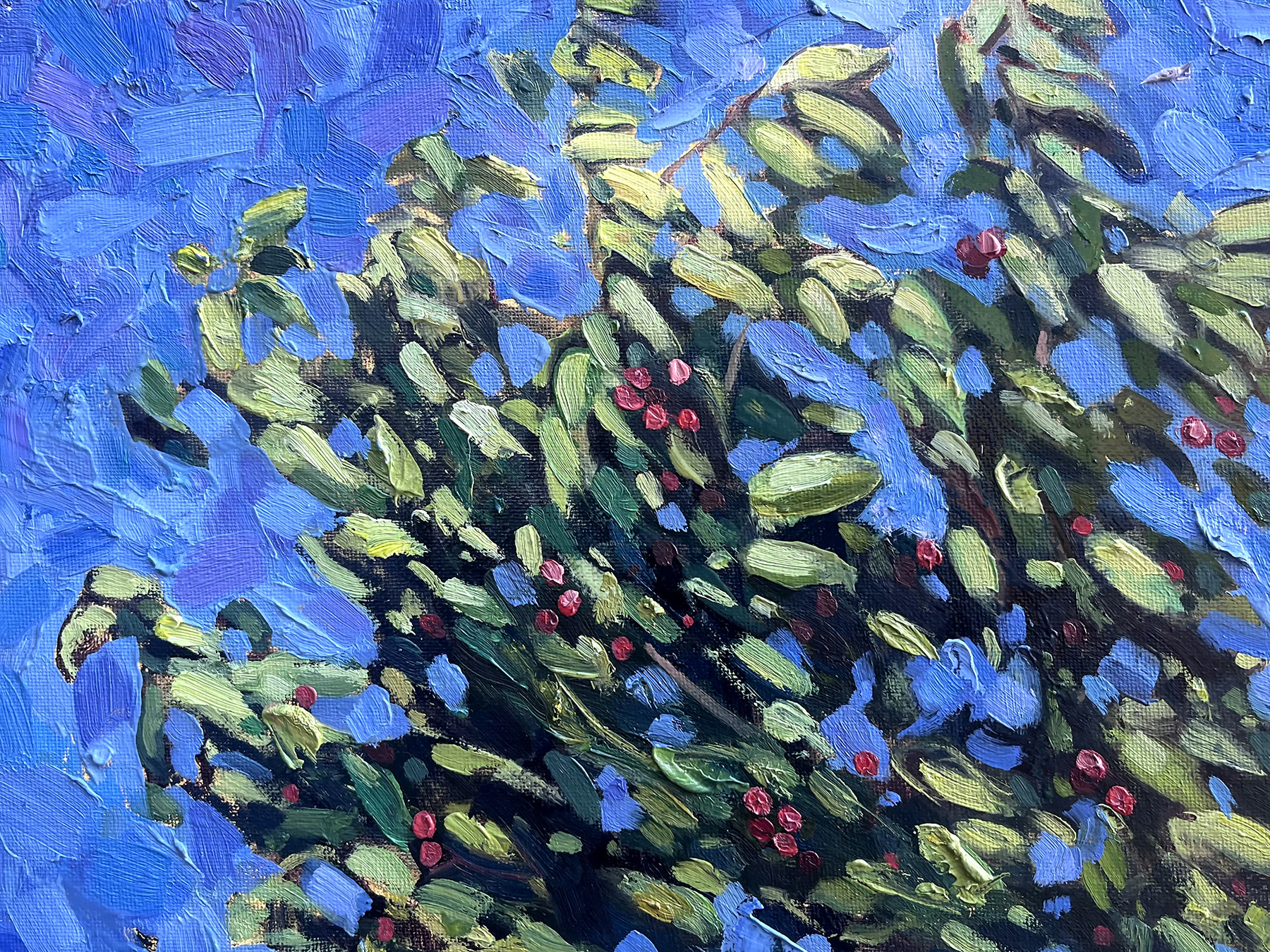 Wind In The Cherries